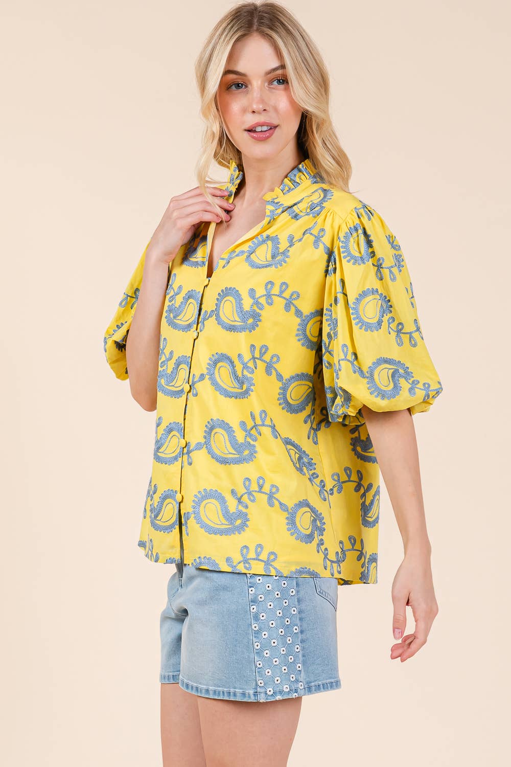 Plus Paisley Embroidered Button-Up Blouse, MT51230PL