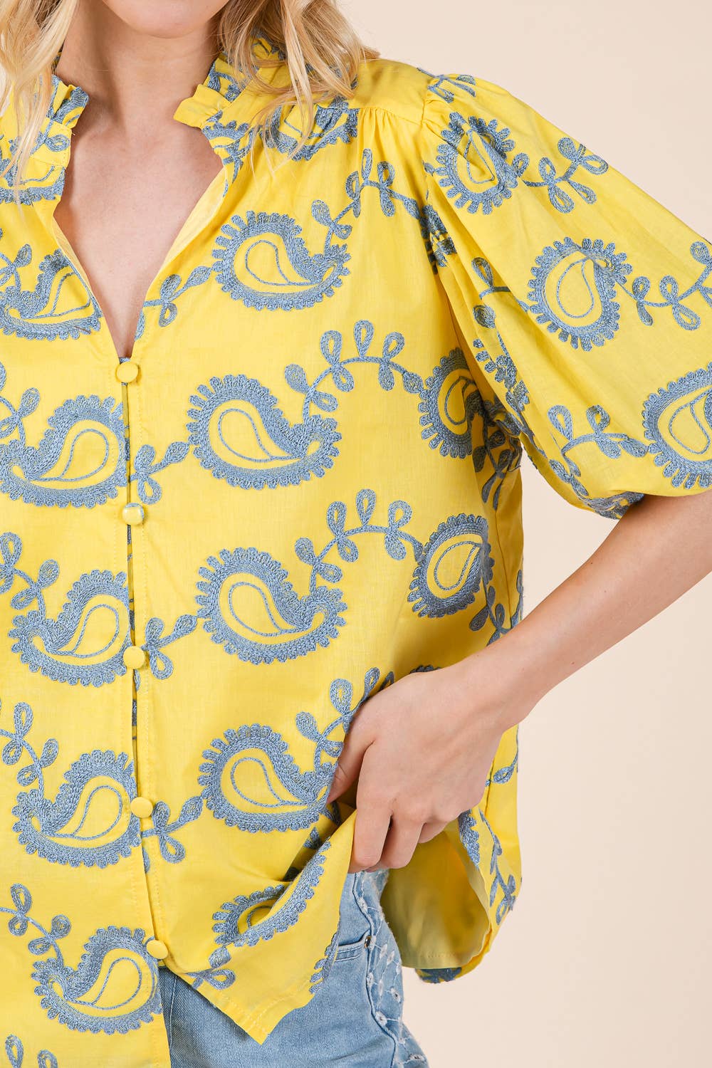 Plus Paisley Embroidered Button-Up Blouse, MT51230PL