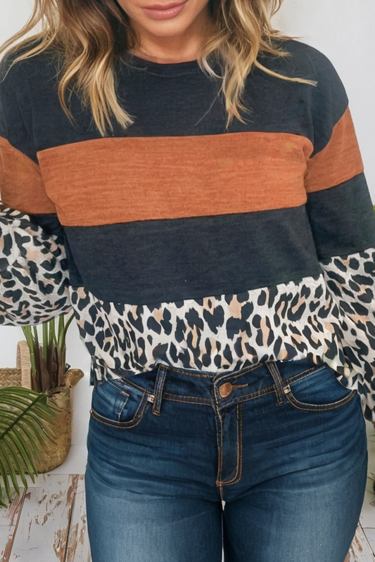 Color Block Leopard Patchwork Long Sleeve Casual Top (S-XL)
