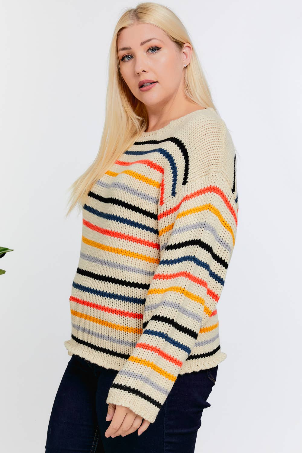 PLUS STRIPE ROUND NECK LONG SLEEVE SWEATER - Acrylic